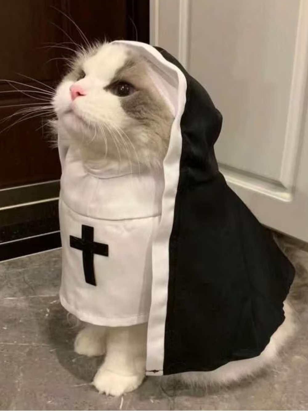 Pet Nun Costume with Hood Black White Cross Outfit Small